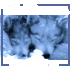 Pas de nouveaux messages Pas de nouveaux messages