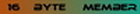 16 Byte Member 16 Byte Member