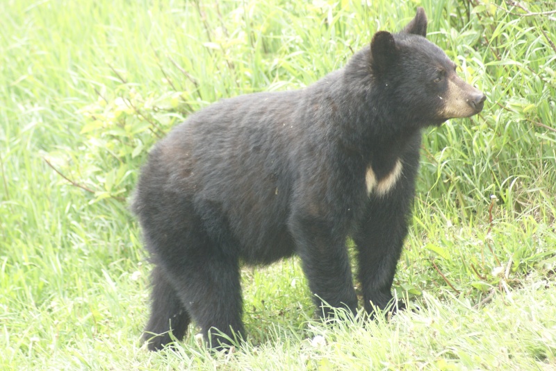 rencontre cuges