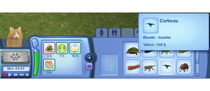 sims 3 comment apprendre chasse chat
