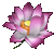 http://i43.servimg.com/u/f43/11/93/85/24/sans_117.gif
