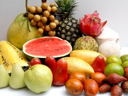 kinds of fruits