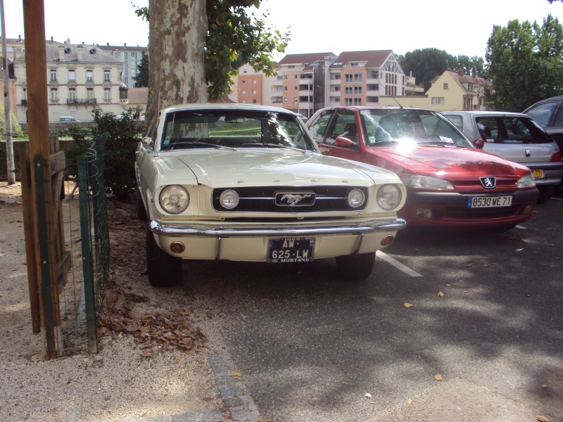 dsc01018.jpg