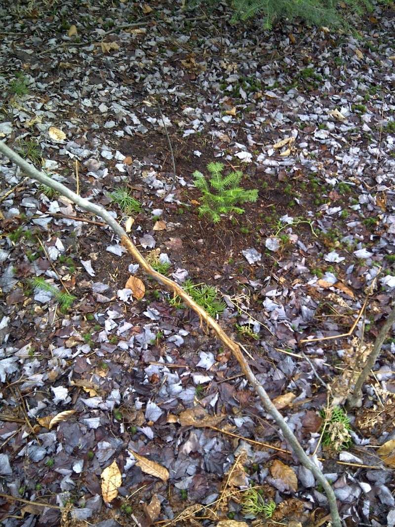 img-2025.jpg