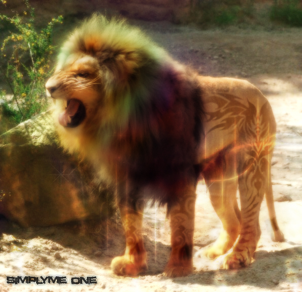 lion2010.jpg