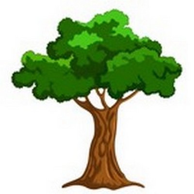 arbre10.jpg