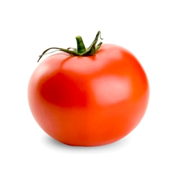 tomate17.jpg